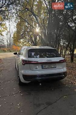 Внедорожник / Кроссовер Audi Q8 e-tron 2023 в Запорожье фото 10 Внедорожник / Кроссовер Audi Q8 e-tron 2023 в Запорожье