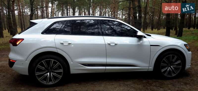 Внедорожник / Кроссовер Audi Q8 e-tron 2023 в Горишних Плавнях