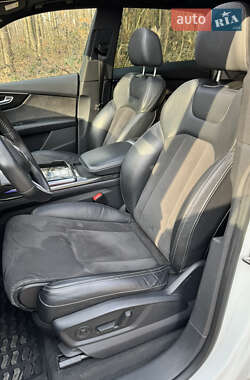 Внедорожник / Кроссовер Audi Q8 2019 в 