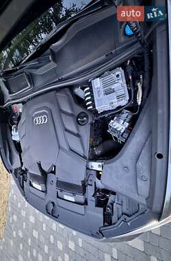 Внедорожник / Кроссовер Audi Q8 2019 в 