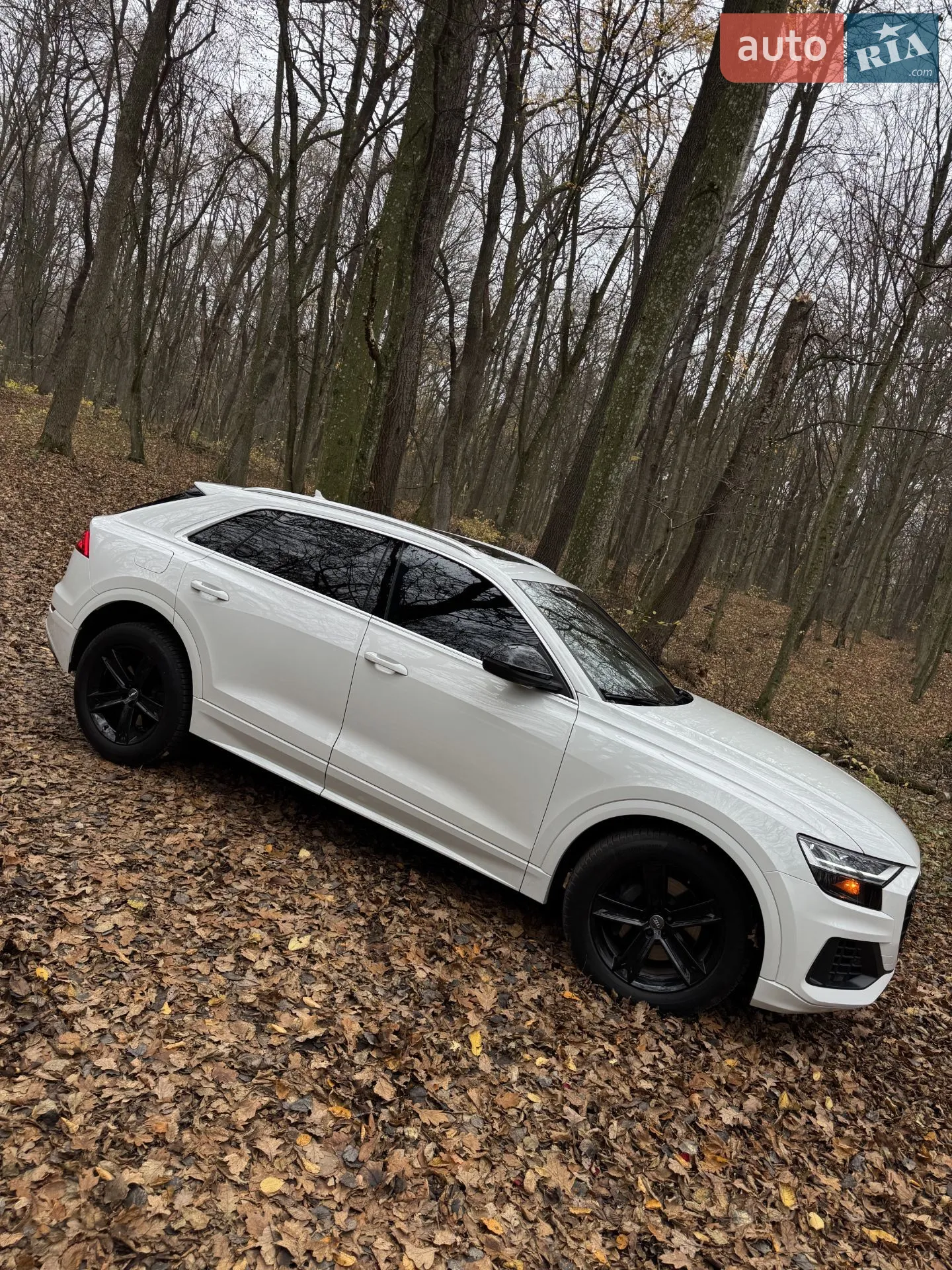 2018 Audi Q8 - мініатюра 10