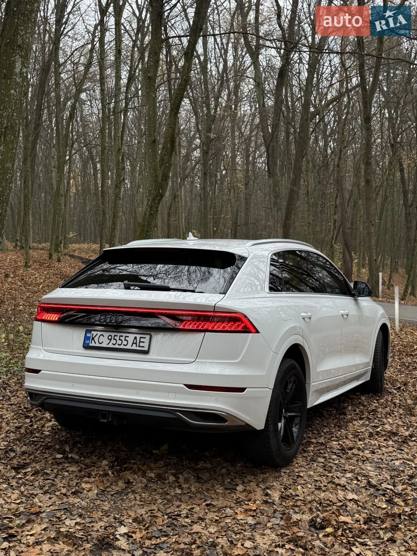 2018 Audi Q8 - мініатюра 11