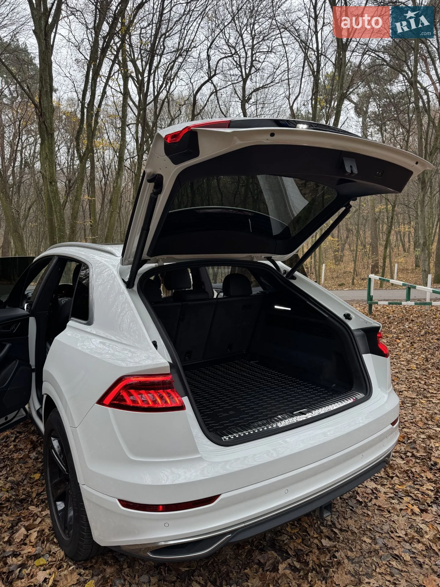 2018 Audi Q8 - мініатюра 16