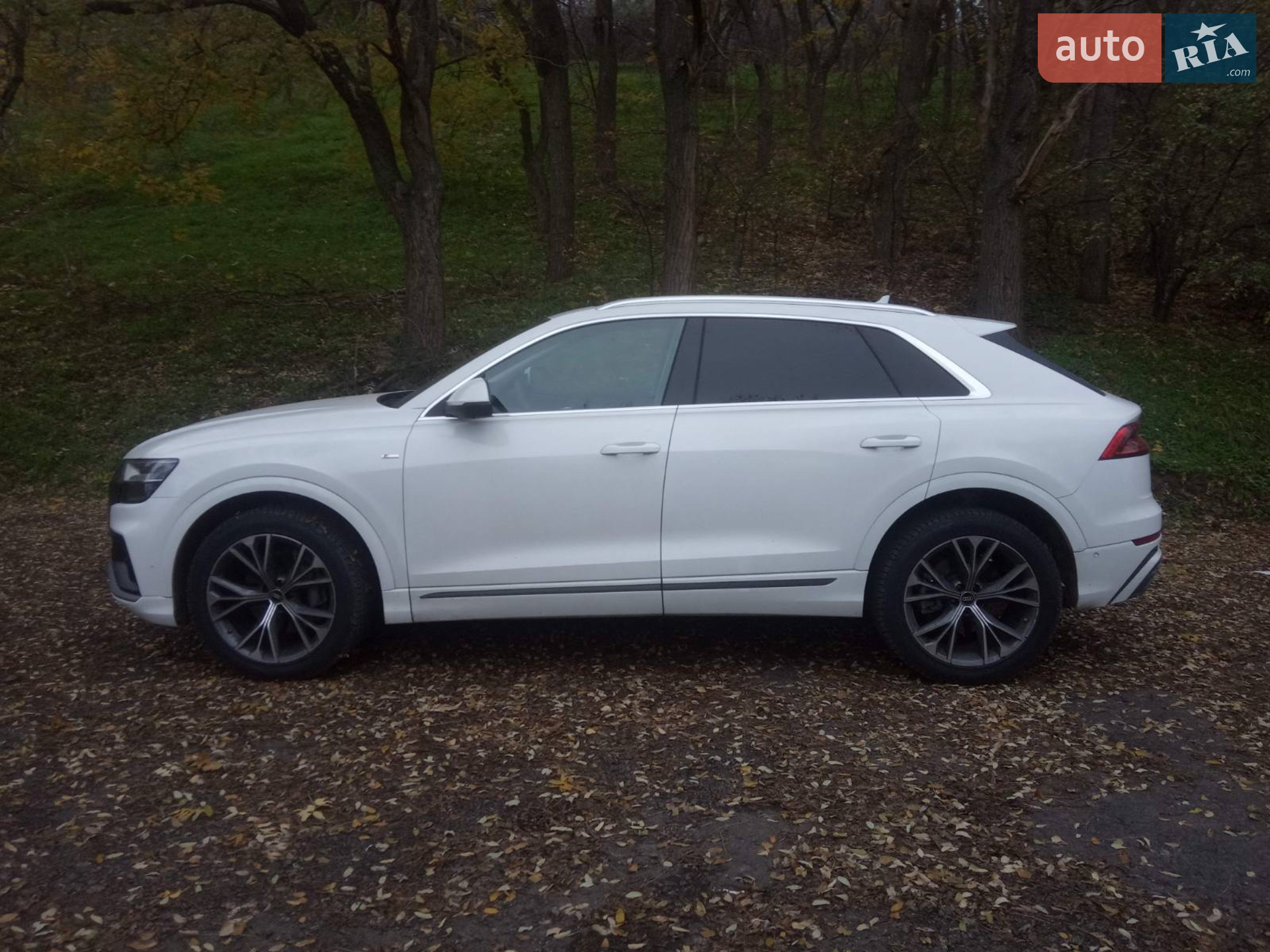 2023 Audi Q8 - мініатюра 17
