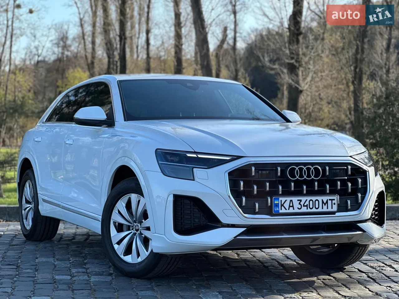 2023 Audi Q8 - мініатюра 18