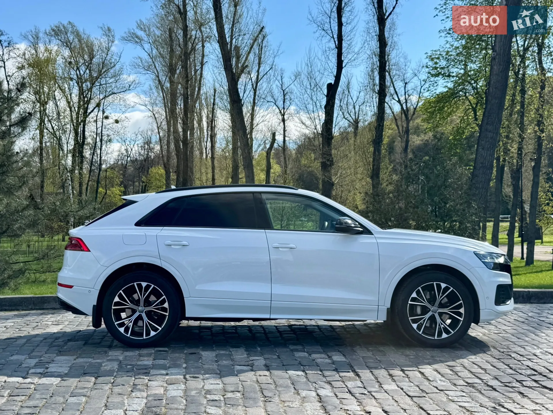 2019 Audi Q8 - мініатюра 100