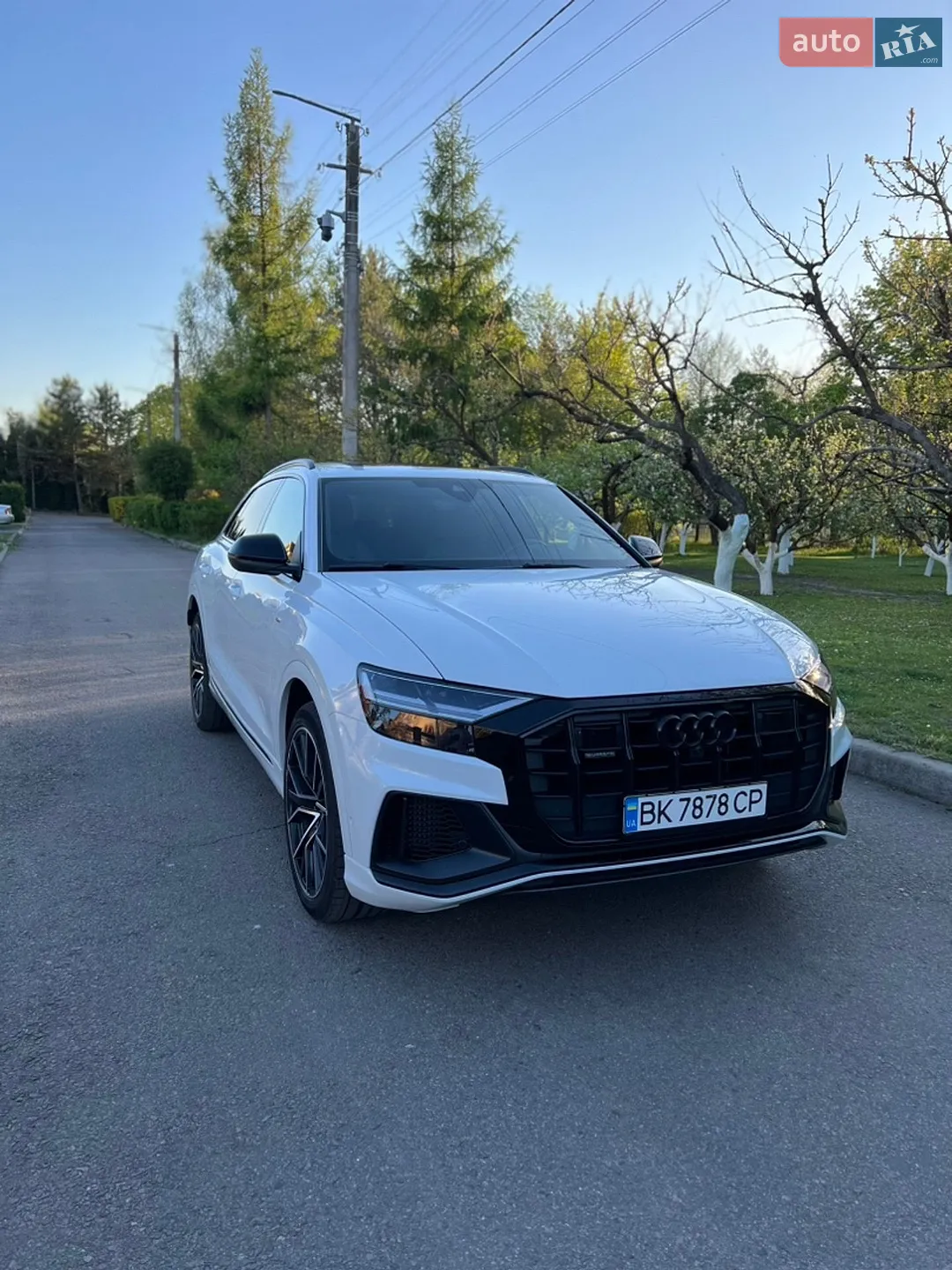 2019 Audi Q8 - мініатюра 2