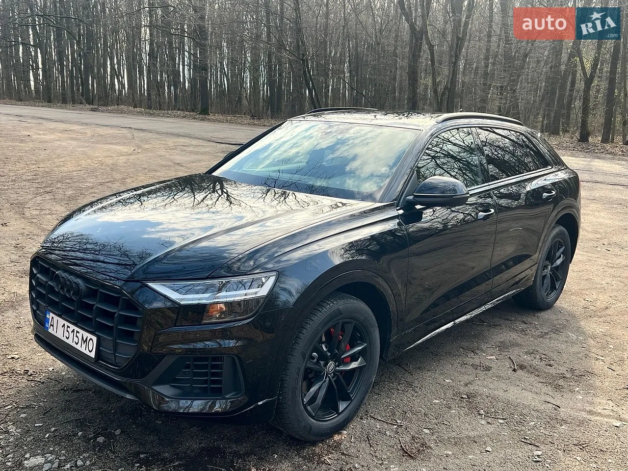 2019 Audi Q8 - мініатюра 28