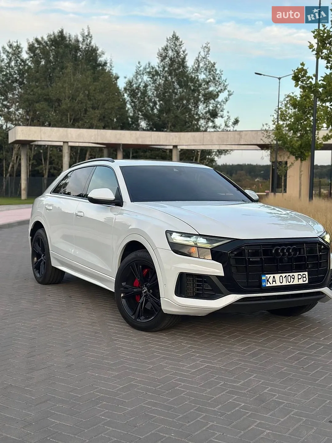 2019 Audi Q8 - мініатюра 2