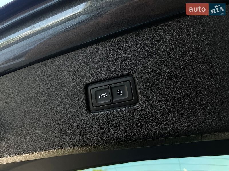 Позашляховик / Кросовер Audi Q8 2020 в Бердичеві фото 34 Позашляховик / Кросовер Audi Q8 2020 в Бердичеві