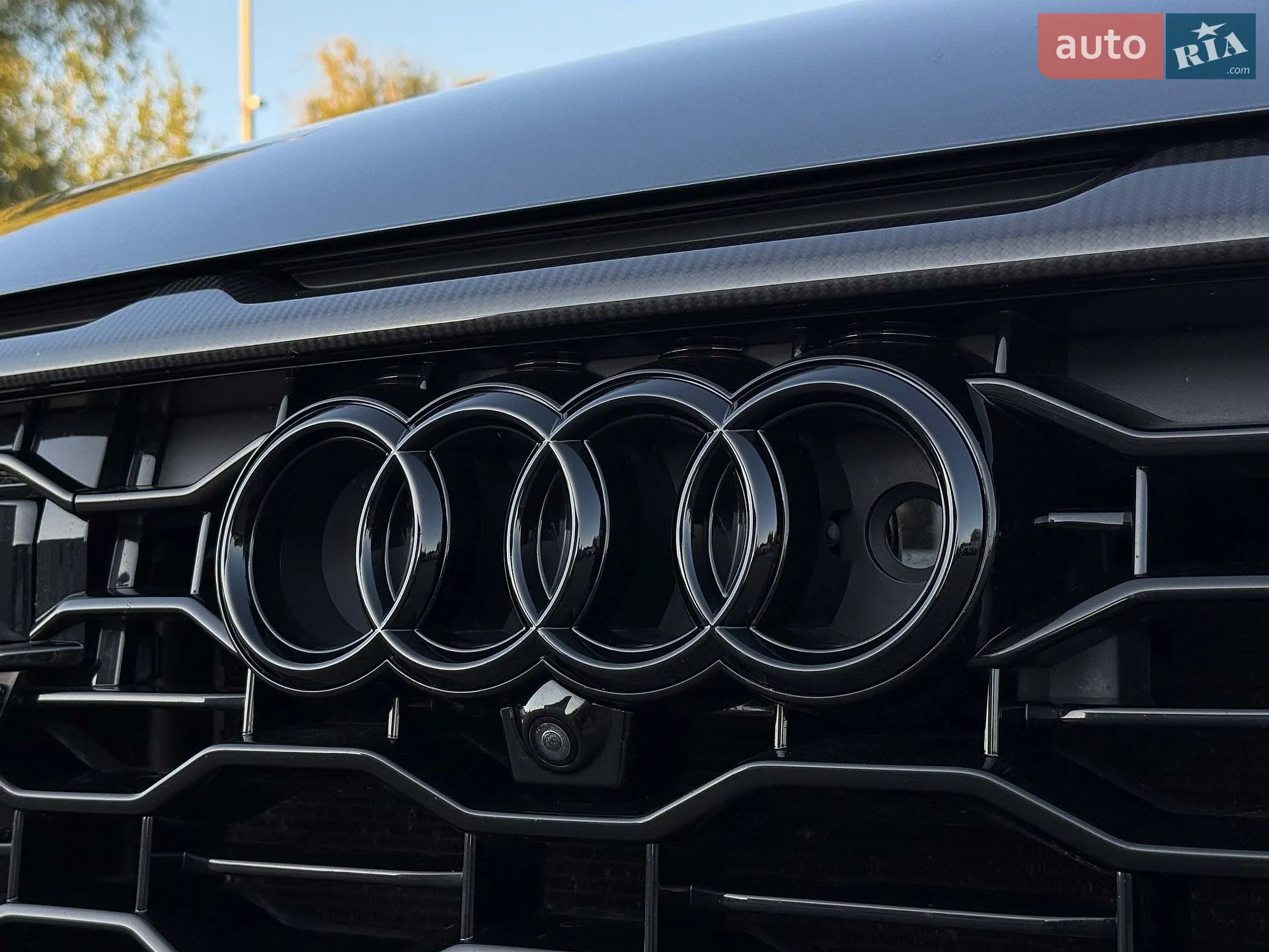 2021 Audi RS Q8 - мініатюра 13