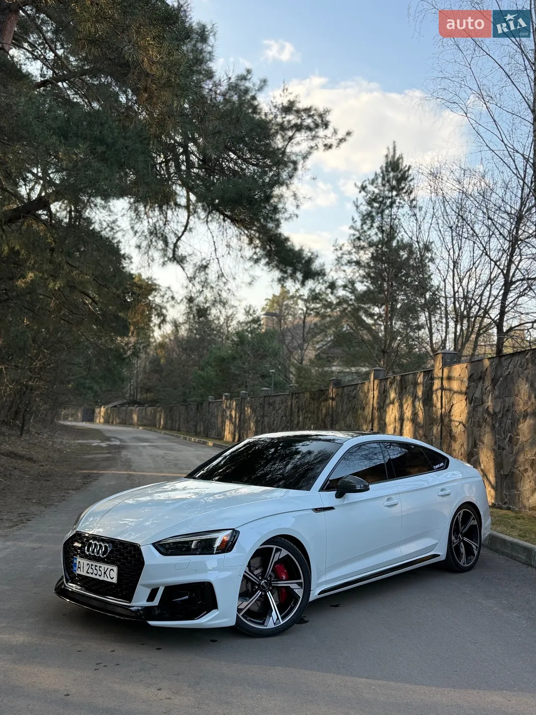 2019 Audi RS5 - мініатюра 5