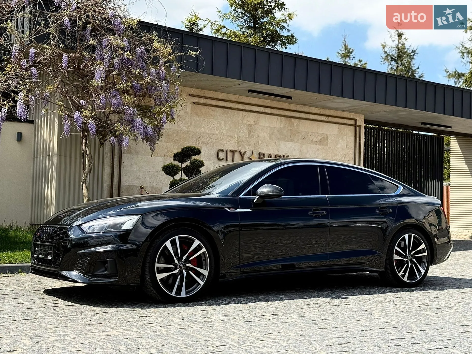 2022 Audi S5 - мініатюра 14