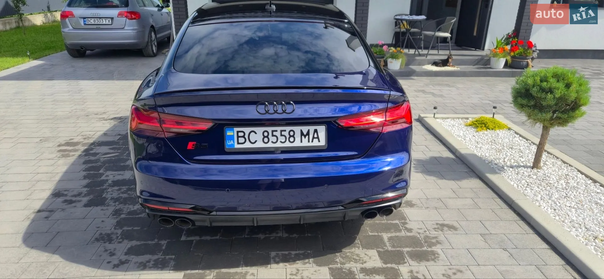 2024 Audi S5 - мініатюра 47