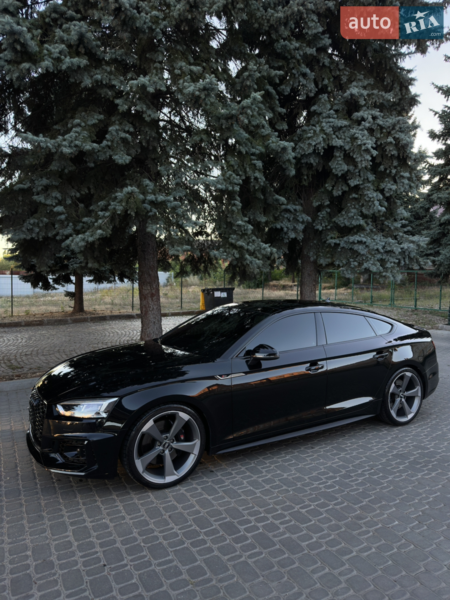 2019 Audi S5 - мініатюра 3