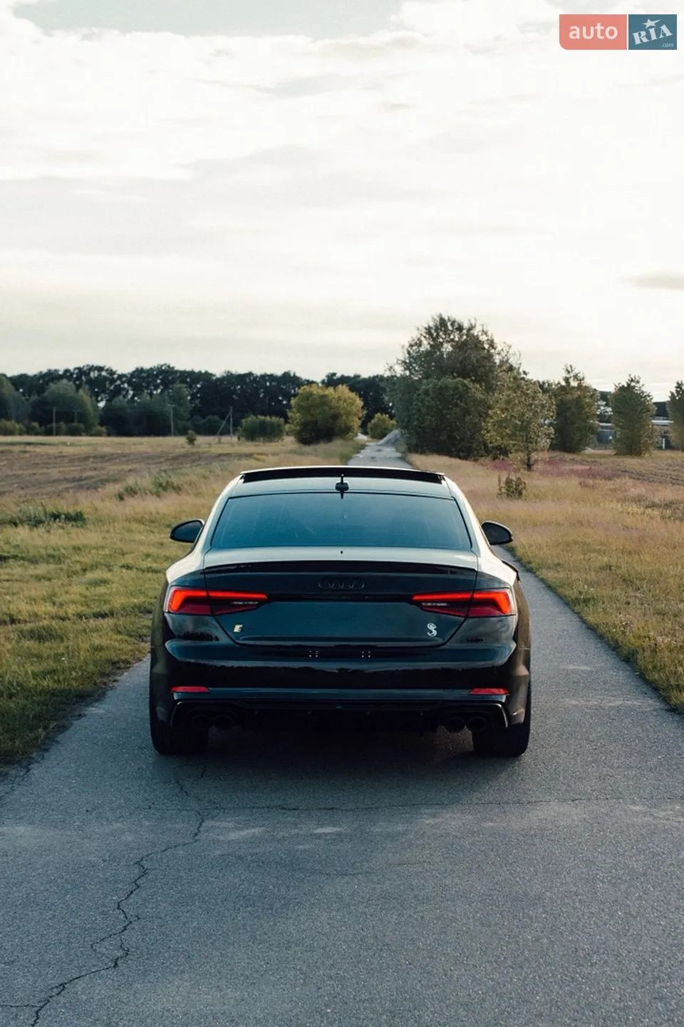 2017 Audi S5 - мініатюра 6
