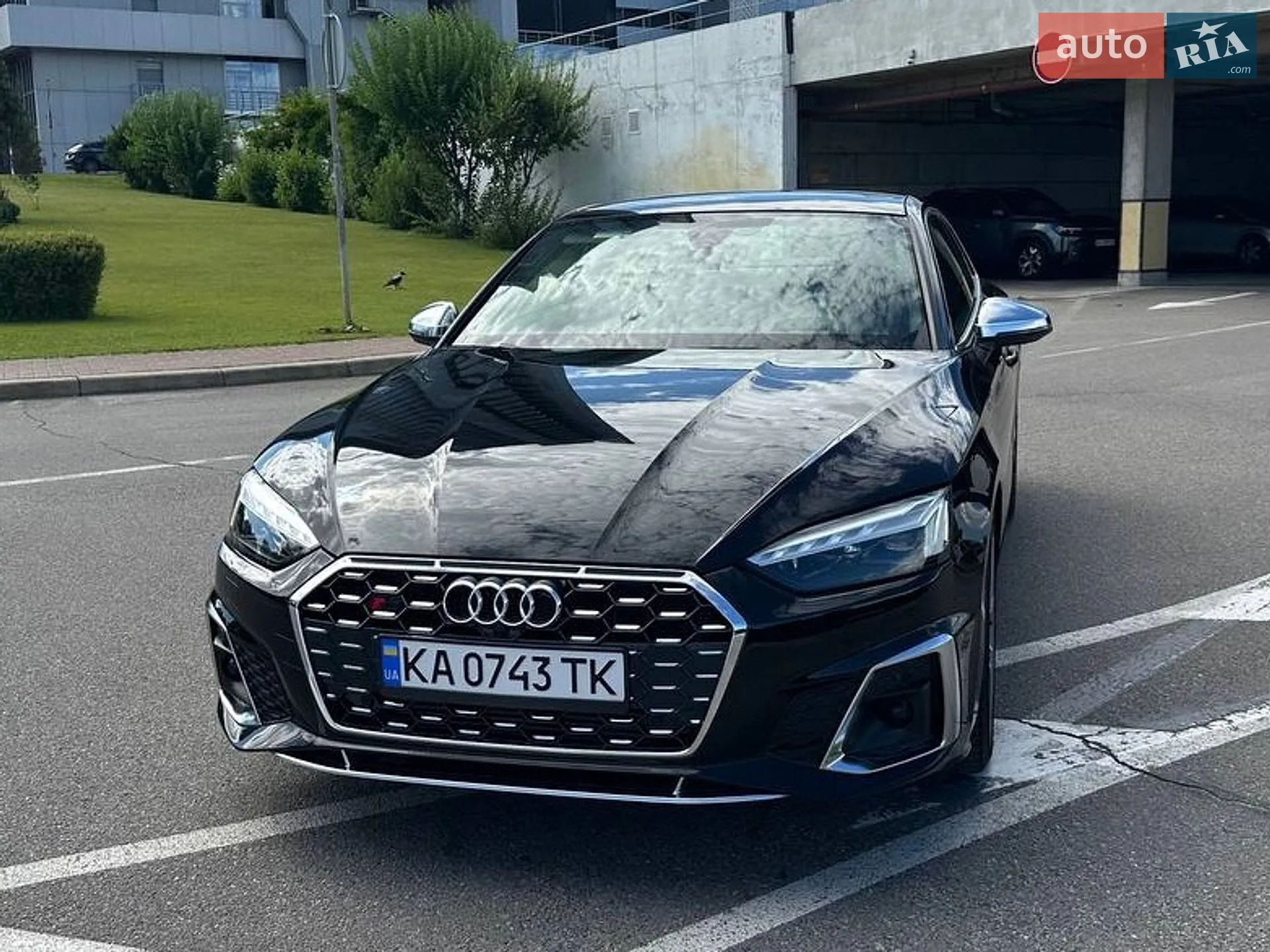 2019 Audi S5 - мініатюра 3