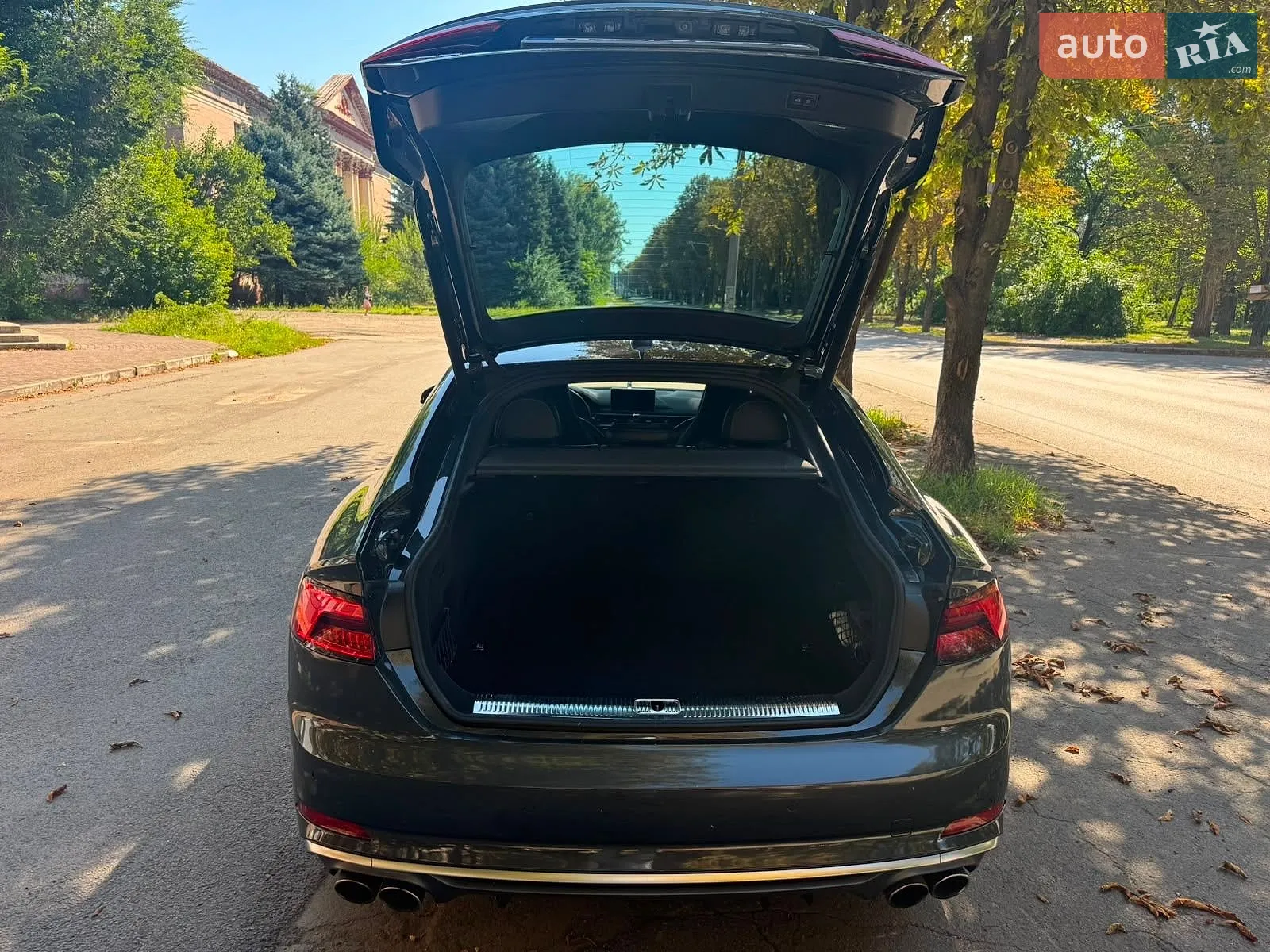 2019 Audi S5 - мініатюра 6