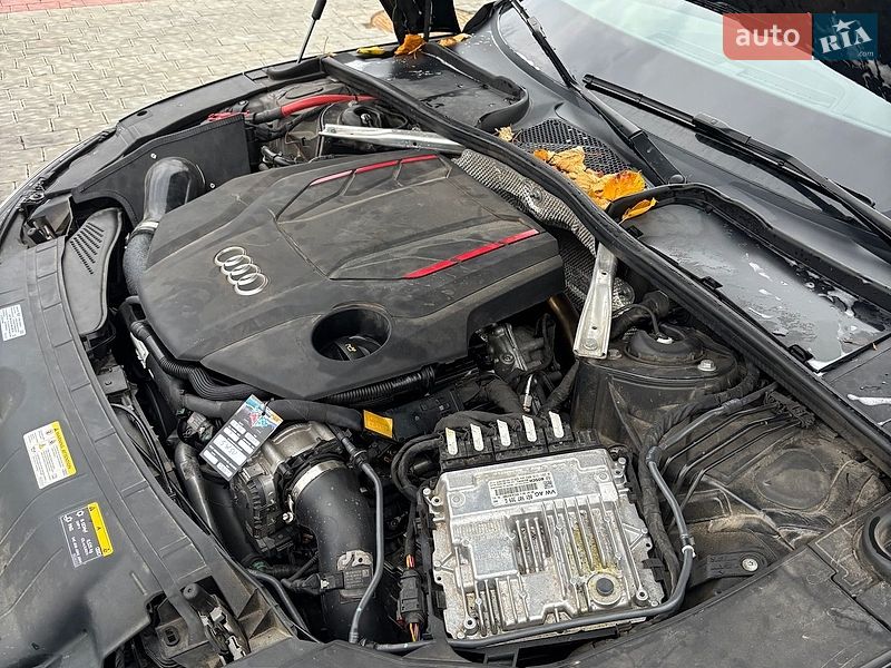 Лифтбек Audi S5 2024 в Ивано-Франковске