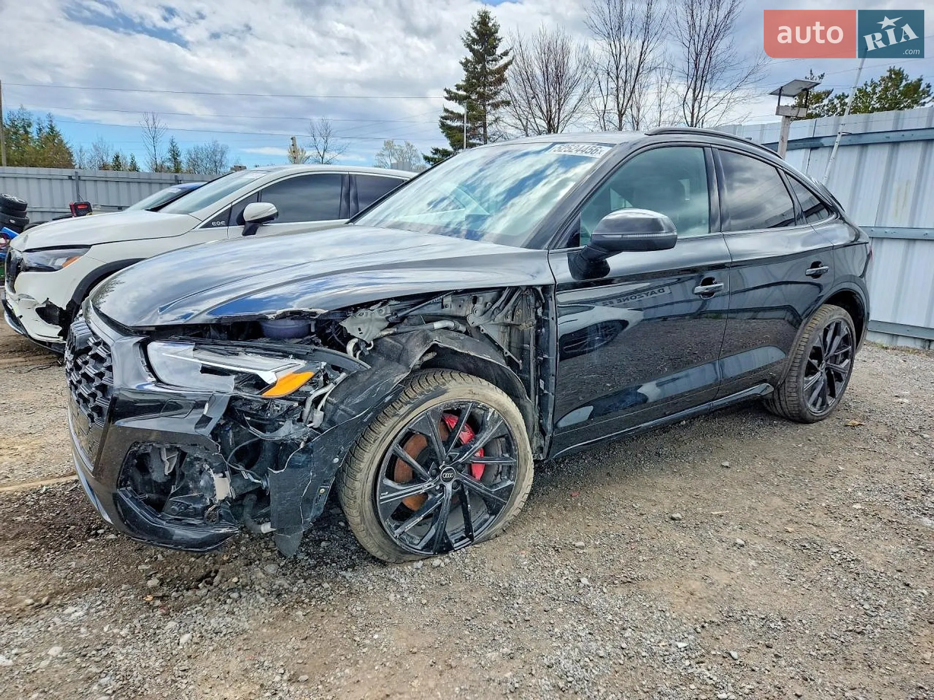 2024 Audi SQ5 Sportback - мініатюра 2