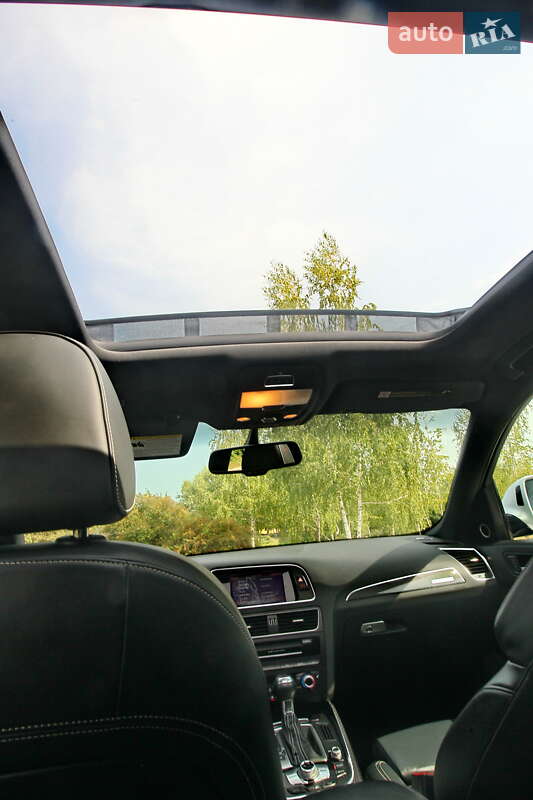 Внедорожник / Кроссовер Audi SQ5 2015 в Чернигове фото 32 Внедорожник / Кроссовер Audi SQ5 2015 в Чернигове