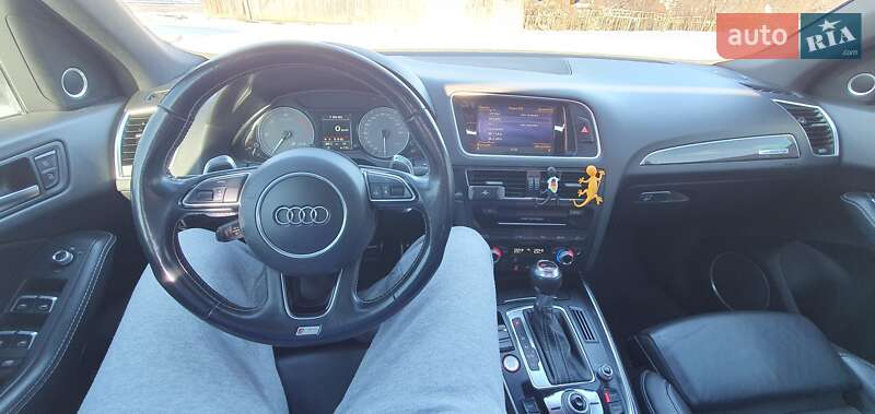 Внедорожник / Кроссовер Audi SQ5 2015 в Чернигове фото 14 Внедорожник / Кроссовер Audi SQ5 2015 в Чернигове