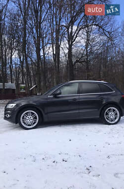 Позашляховик / Кросовер Audi SQ5 2013 в 