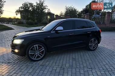 Внедорожник / Кроссовер Audi SQ5 2014 в 