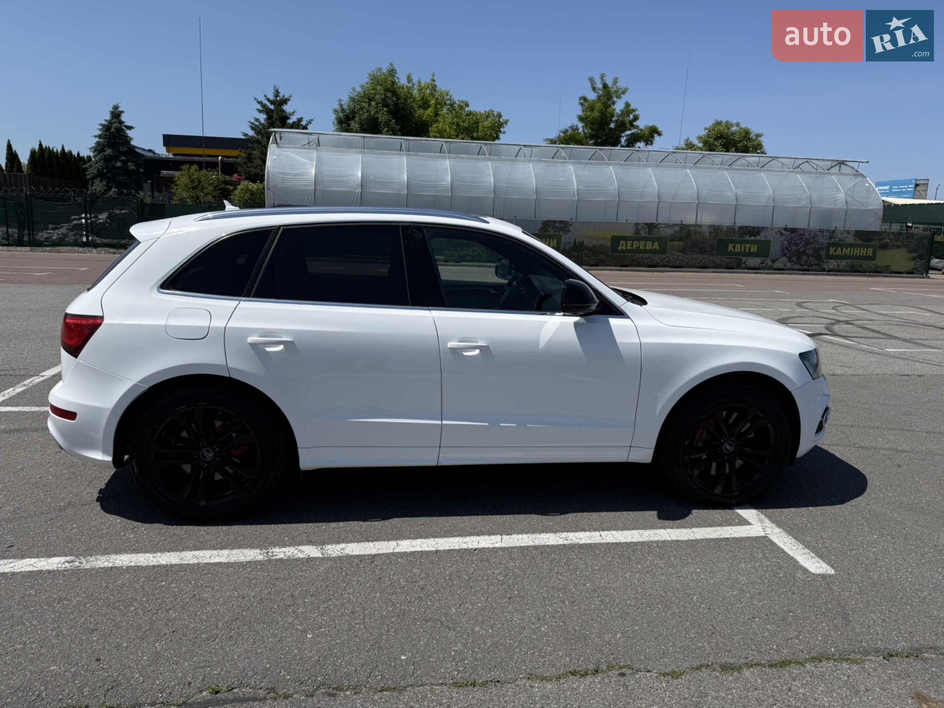 2015 Audi SQ5 - мініатюра 2