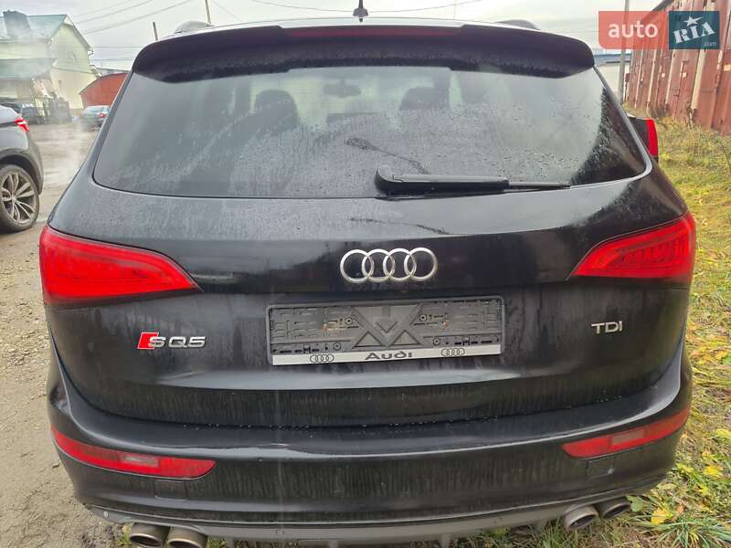 Внедорожник / Кроссовер Audi SQ5 2016 в Ивано-Франковске фото 27 Внедорожник / Кроссовер Audi SQ5 2016 в Ивано-Франковске