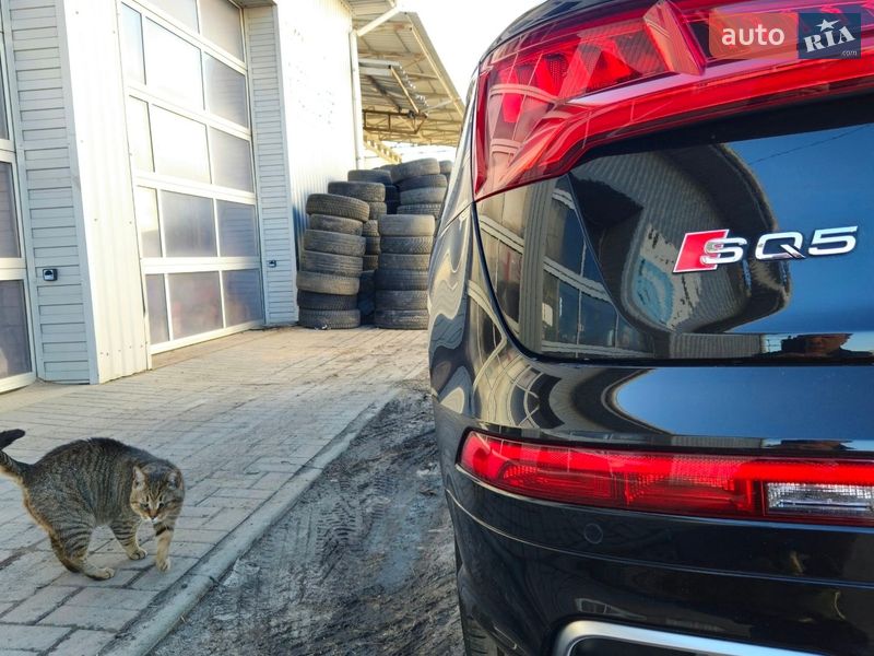 Внедорожник / Кроссовер Audi SQ5 2018 в Сумах