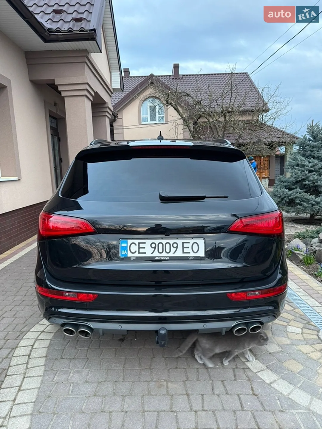 2013 Audi SQ5 - мініатюра 6