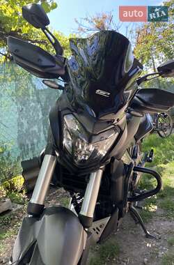 Мотоцикл Без обтекателей (Naked bike) Bajaj Dominar D400 2023 в 
