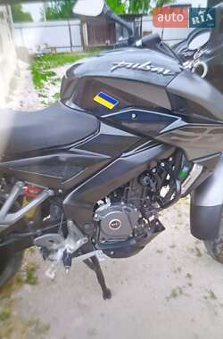 Мотоцикл Багатоцільовий (All-round) Bajaj Pulsar 2019 в 