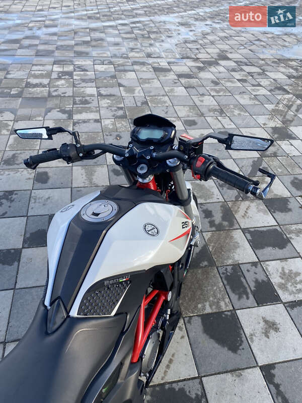 Мотоцикл Классик Benelli 251S 2020 в Самборе