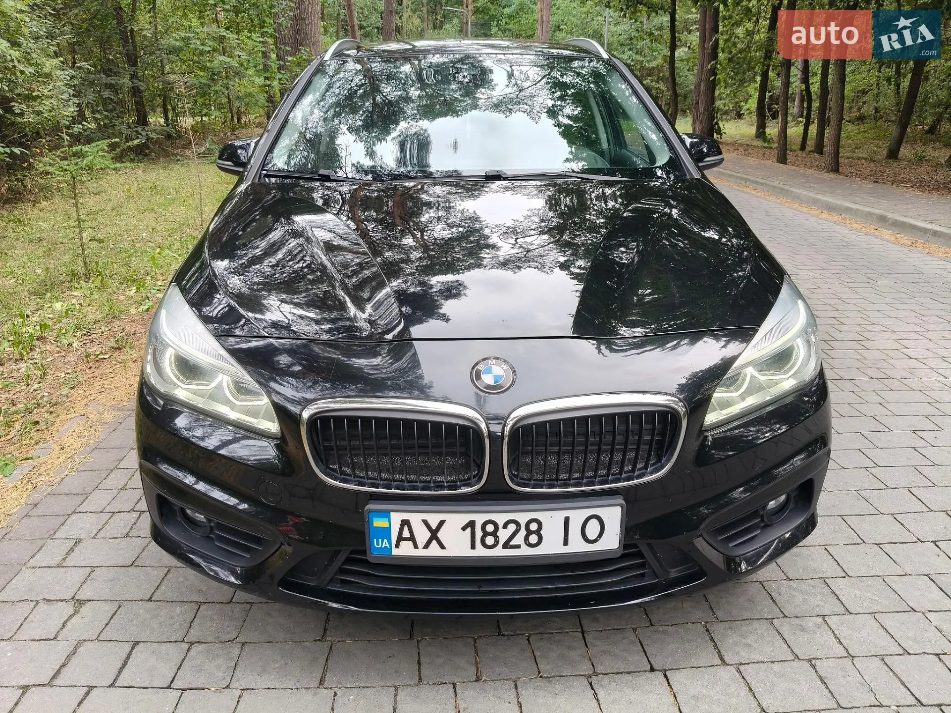 2016 BMW 2er - мініатюра 13