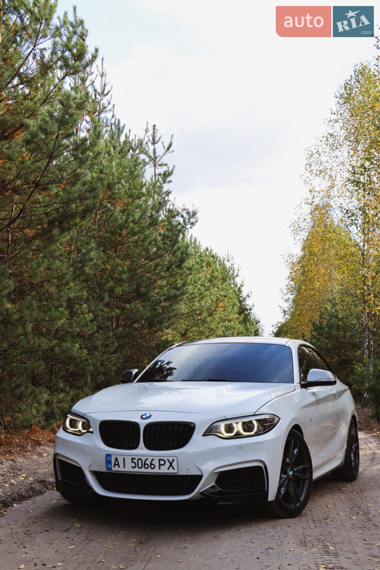 2017 BMW 2er - мініатюра 14