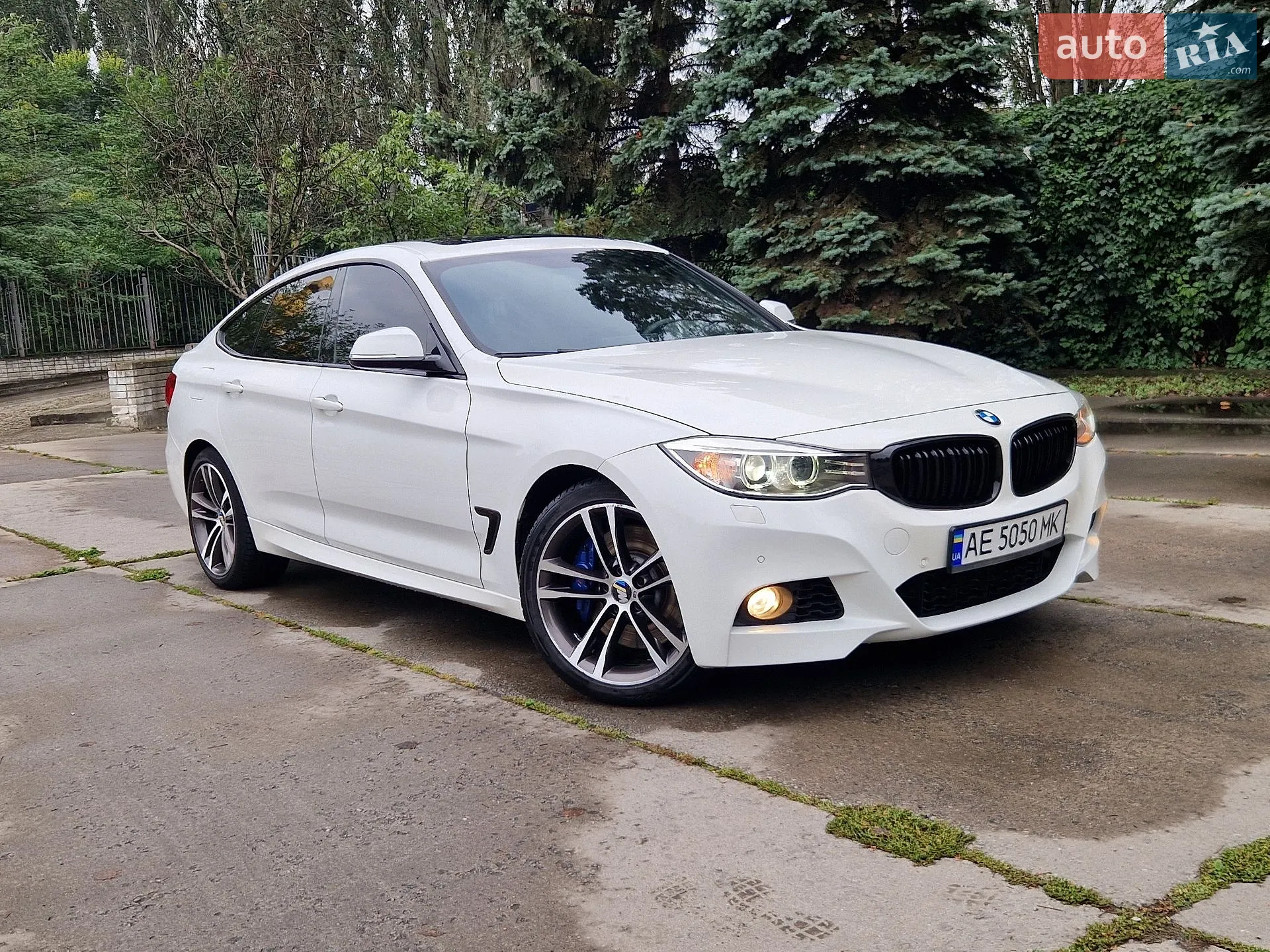 2015 BMW 3er - мініатюра 8