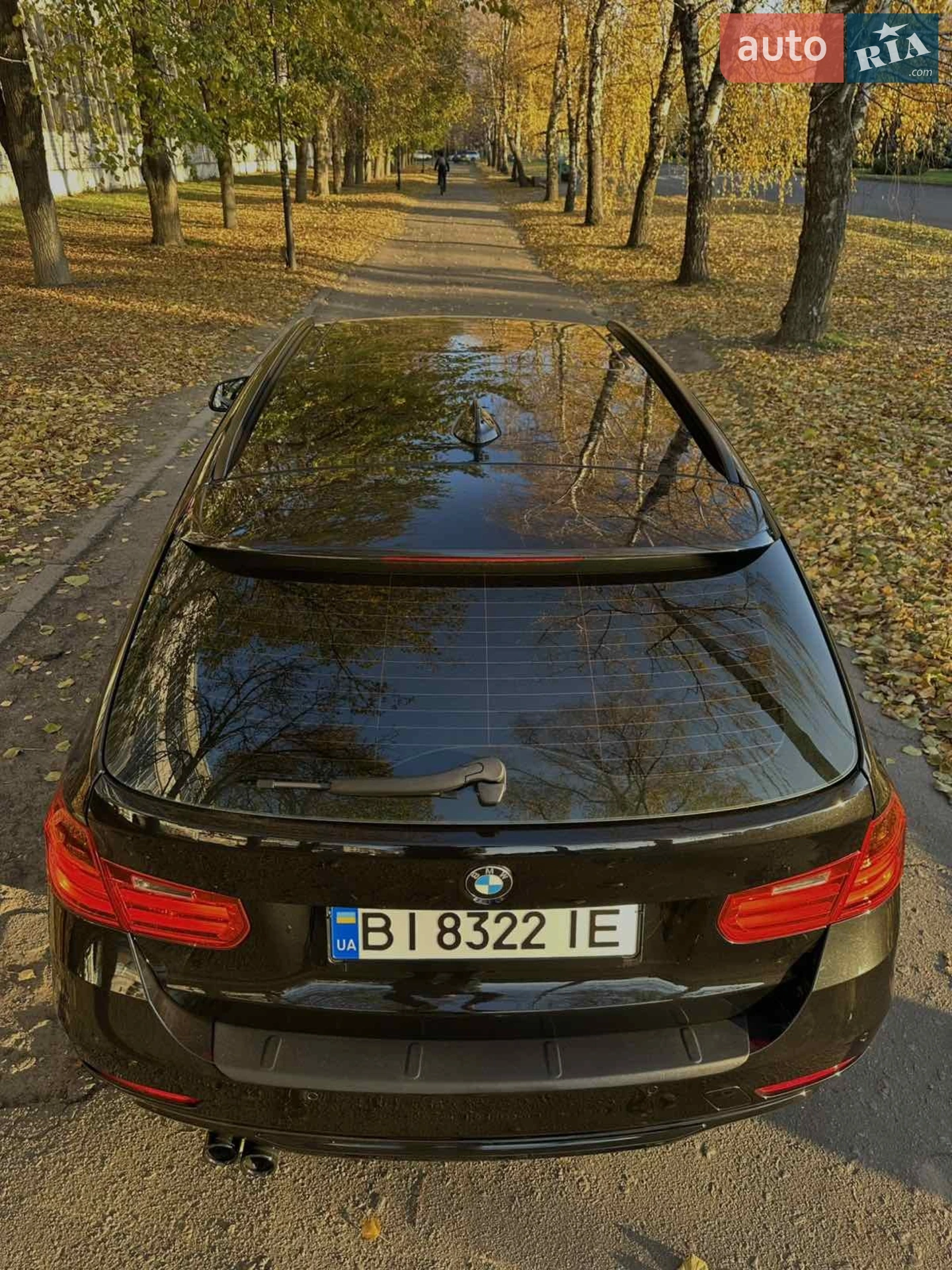2013 BMW 3er - мініатюра 4