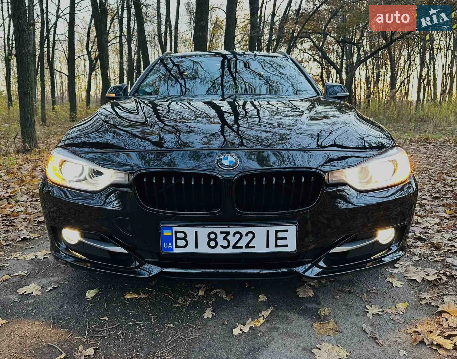 2013 BMW 3er - мініатюра 45