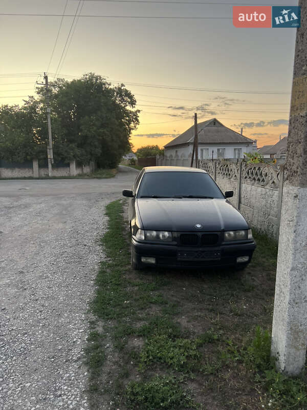 BMW 3 Series 1995 BMW 3 Series 1995