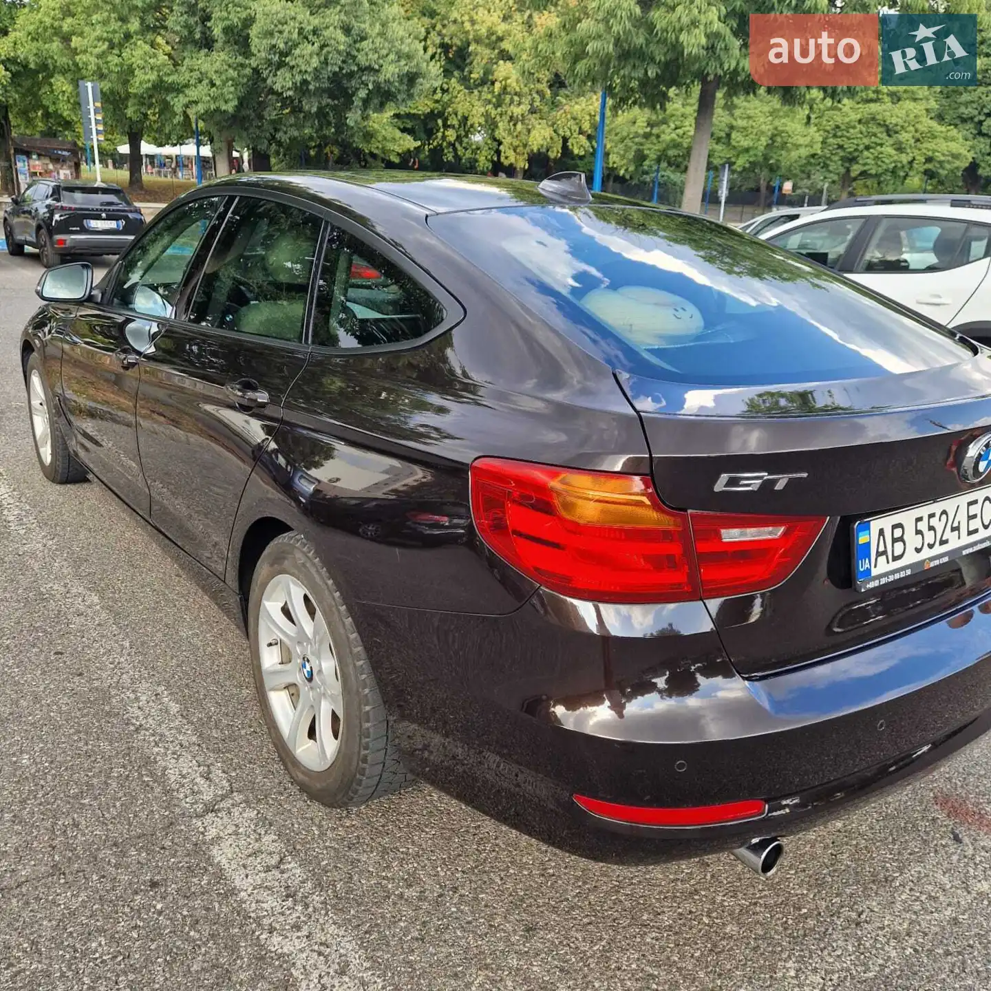 2015 BMW 3er - мініатюра 12