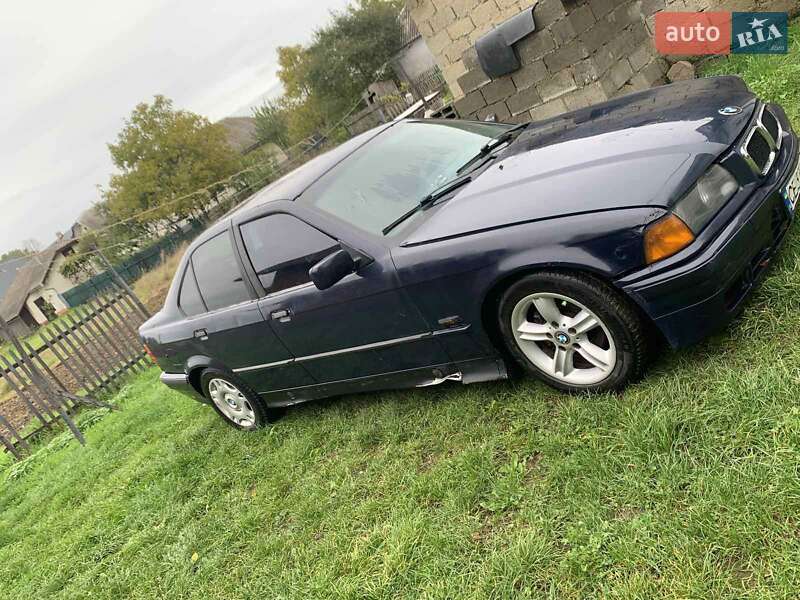 BMW 3 Series 1996 BMW 3 Series 1996