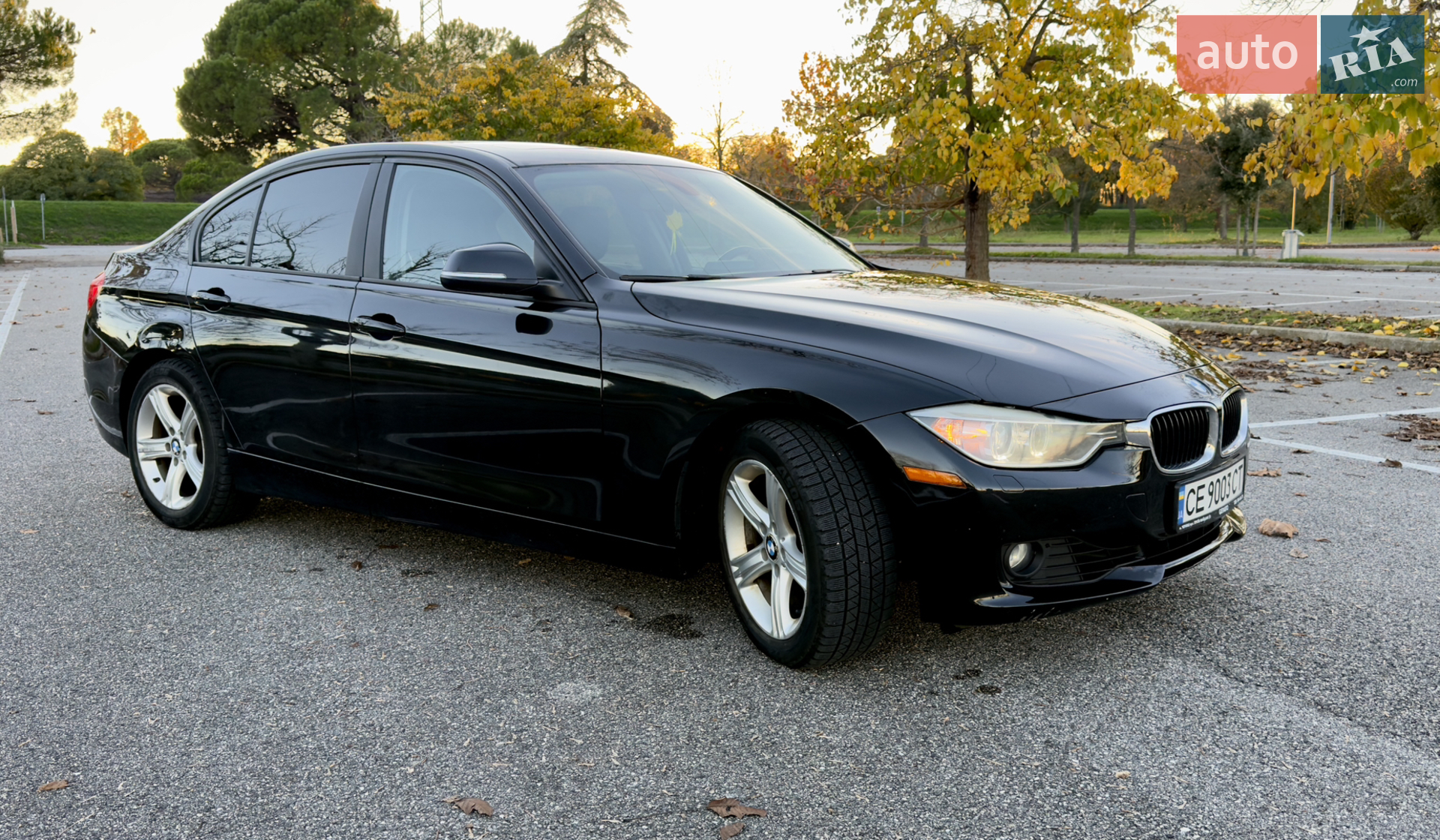 2013 BMW 3er - мініатюра 12