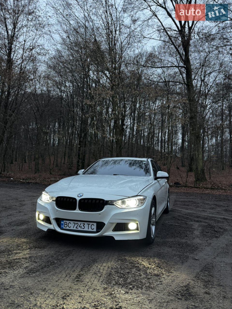 2015 BMW 3er - мініатюра 30