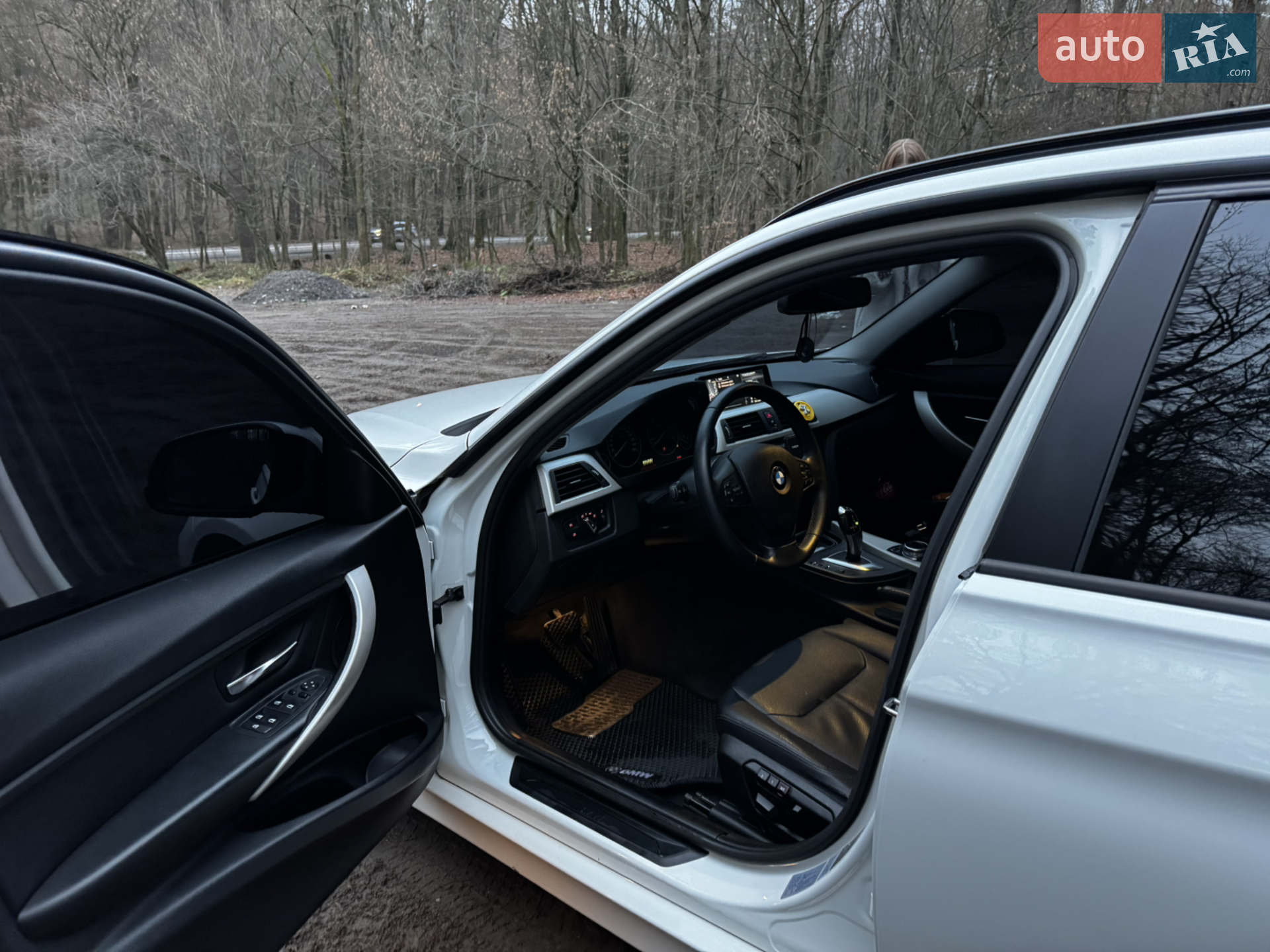 2014 BMW 3er - мініатюра 15