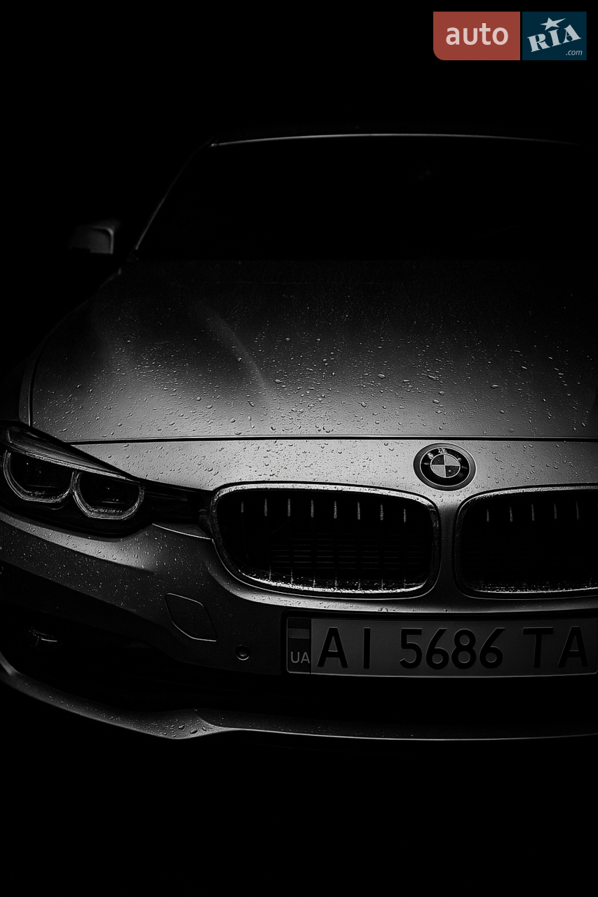 2015 BMW 3er - мініатюра 23