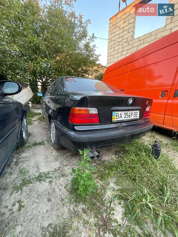 BMW 3 Series 1995 BMW 3 Series 1995