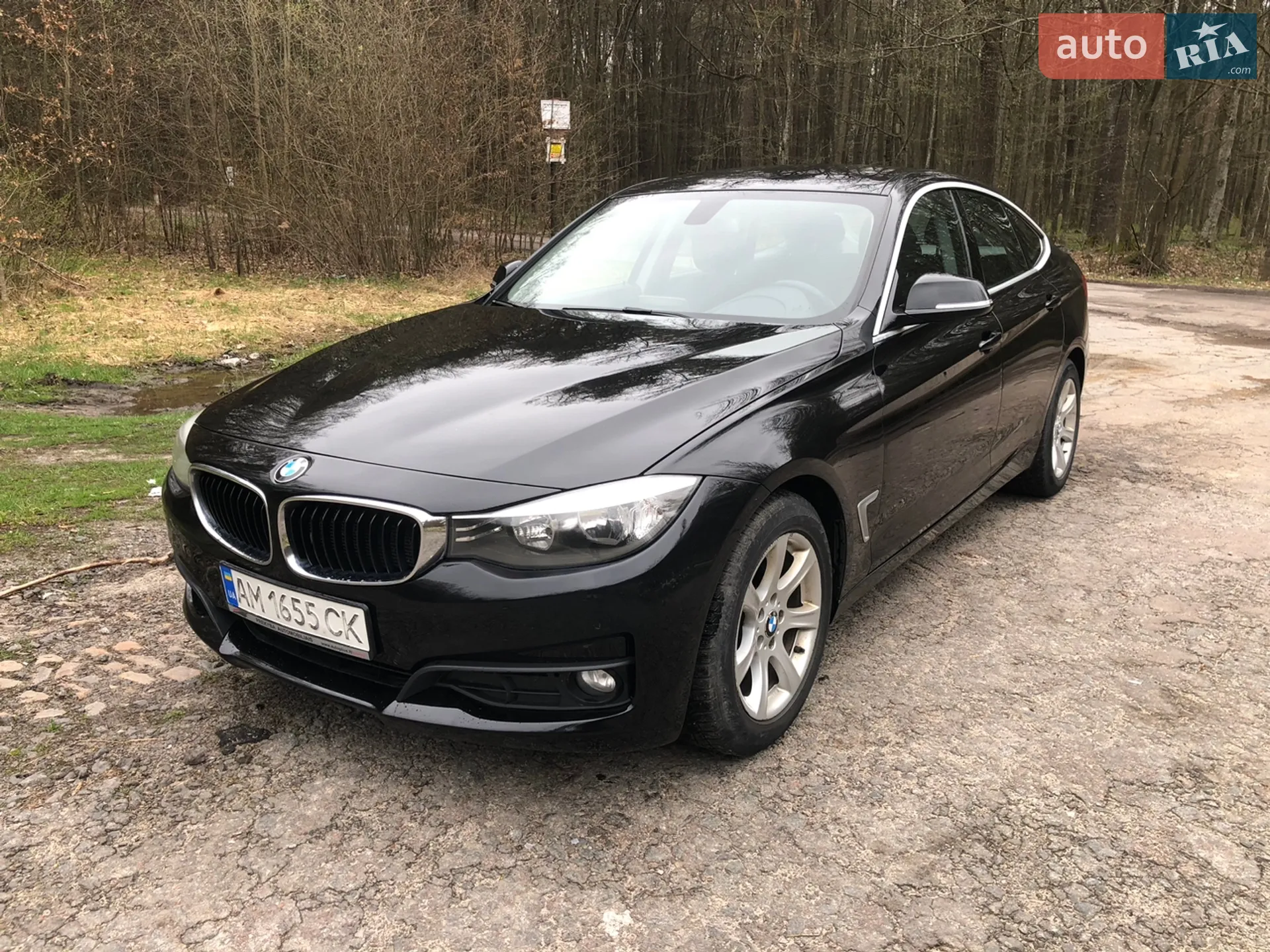 2014 BMW 3er - фото 1
