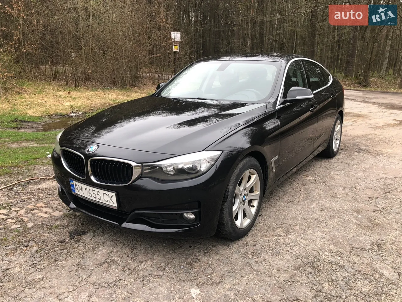 2013 BMW 3er - мініатюра 13
